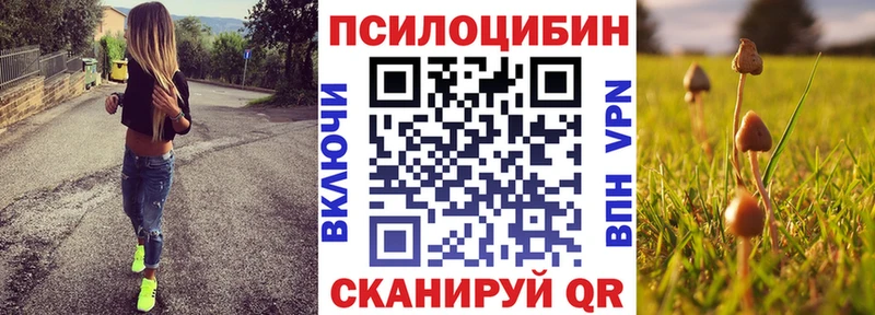где купить наркоту  Белая Холуница  Псилоцибиновые грибы прущие грибы 